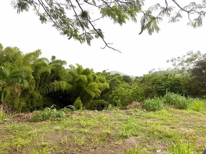 Bo. Arenas, Terreno en Cidra - Imagen 11