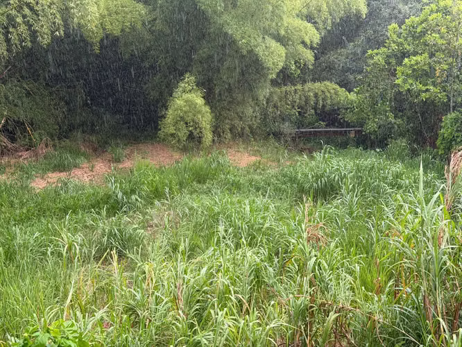 Bo. Arenas, Terreno en Cidra - Imagen 9