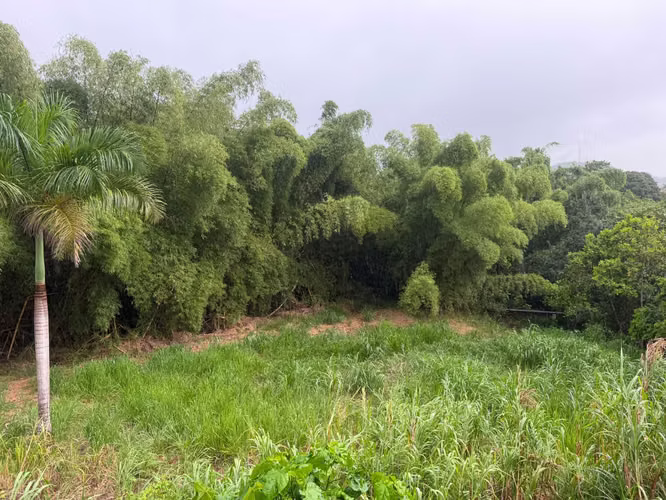 Bo. Arenas, Terreno en Cidra - Imagen 2