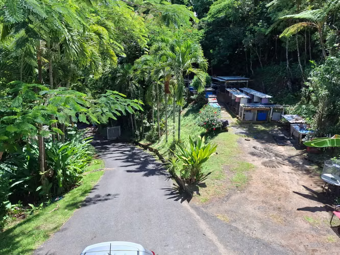 Bo. Dajaos, Casa en Bayamón - Imagen 16