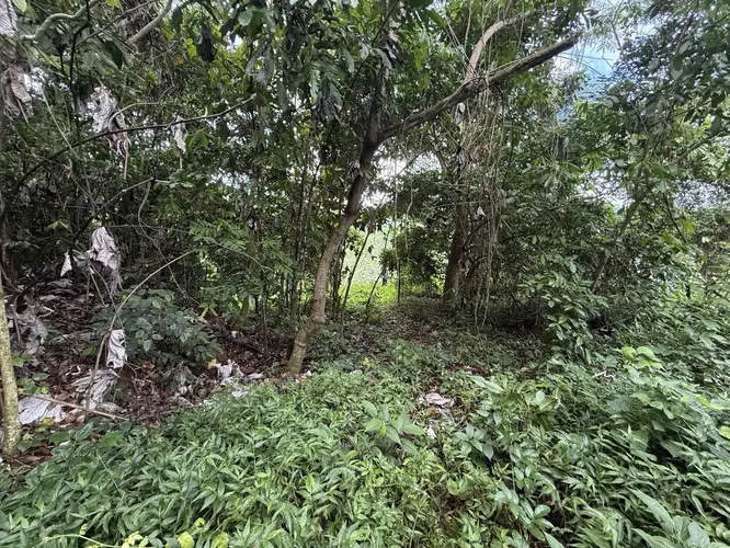Bo Cañaboncito, Terreno en Caguas - Imagen 8