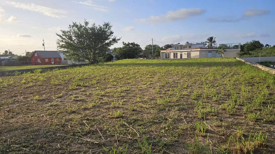 Bo. Maleza, Terreno en Aguadilla - Imagen 8