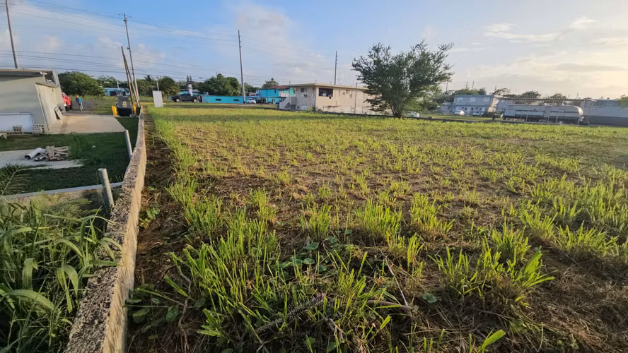 Bo. Maleza, Terreno en Aguadilla - Imagen 9