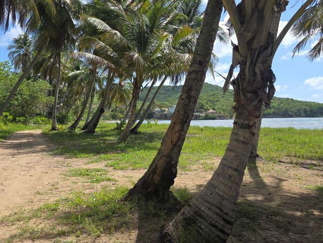 ¡Oportunidad única! Terreno frente al mar en Playa Guayanés