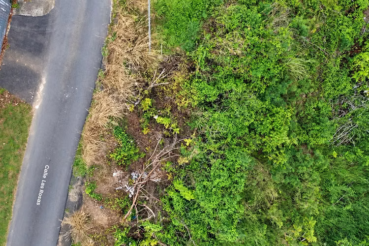 Bo. Candelaria, Terreno en Vega Alta - Imagen 7