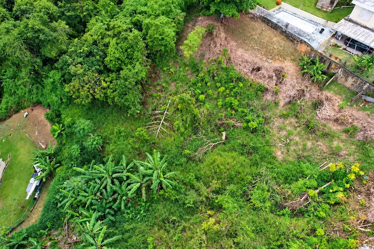 Bo. Candelaria, Terreno en Vega Alta - Imagen 4
