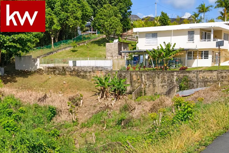 Bo. Candelaria, Land in Vega Alta