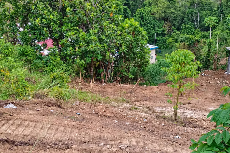 Bo. Candelaria, Terreno en Vega Alta - Imagen 5