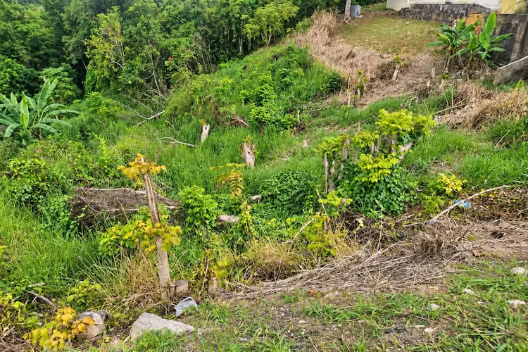 Bo. Candelaria, Terreno en Vega Alta - Imagen 2