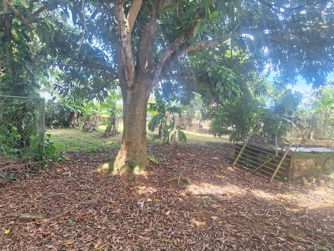 Bo. Caimital Alto, Casa en Aguadilla