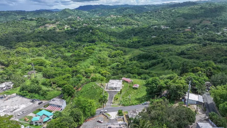 Bo. Dos Bocas, Terreno en Corozal