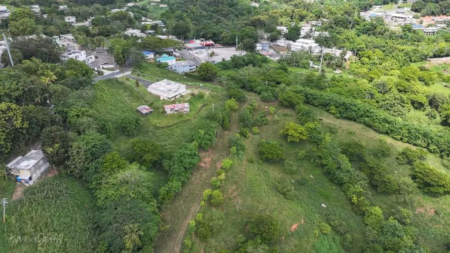 Bo. Dos Bocas, Terreno en Corozal