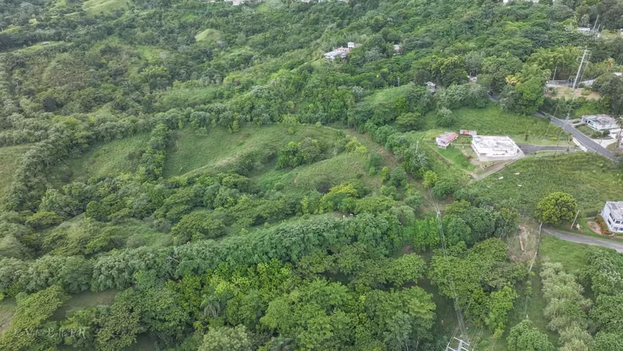 Bo. Dos Bocas, Terreno en Corozal