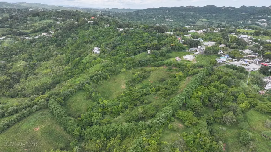 Bo. Dos Bocas, Terreno en Corozal