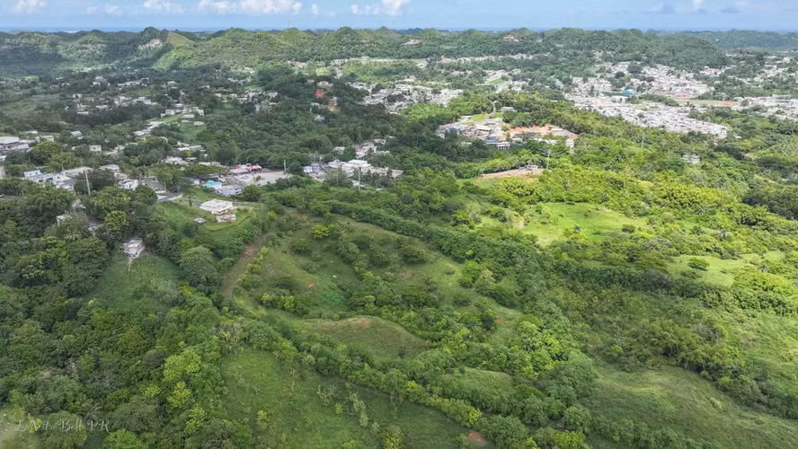 Bo. Dos Bocas, Terreno en Corozal