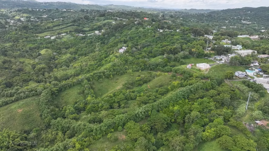 Bo. Dos Bocas, Terreno en Corozal