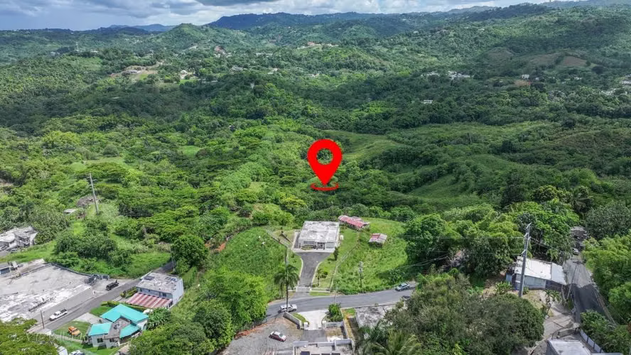 Bo. Dos Bocas, Terreno en Corozal