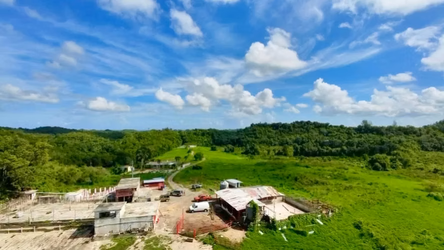 Bo. Almirante Sur, Finca en Vega Baja - Imagen 5