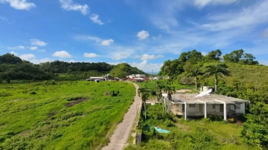 Bo. Almirante Sur, Finca en Vega Baja - Imagen 14