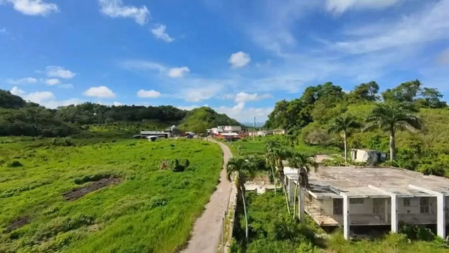 Bo. Almirante Sur, Finca en Vega Baja - Imagen 13