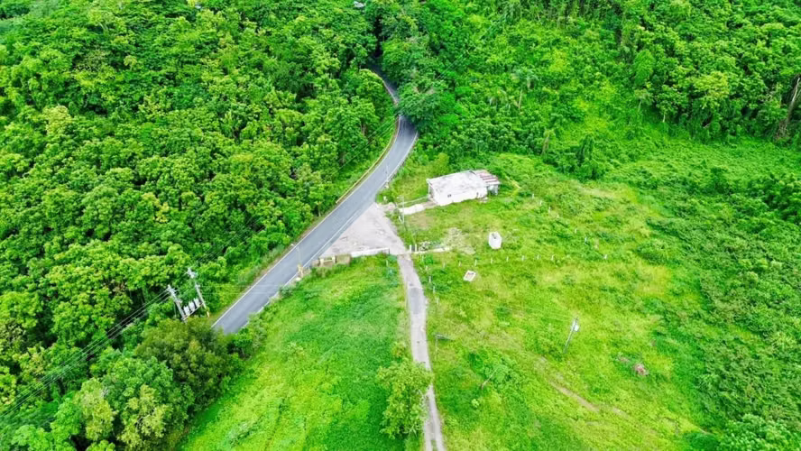 Bo. Almirante Sur, Finca en Vega Baja - Imagen 3