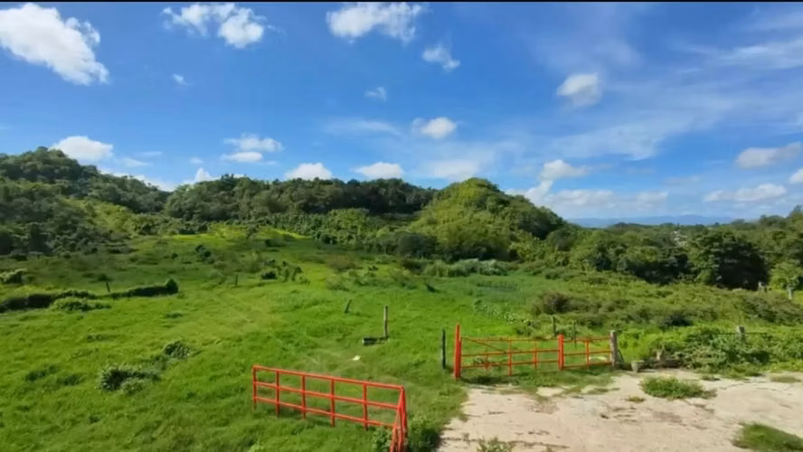Bo. Almirante Sur, Finca en Vega Baja - Imagen 9