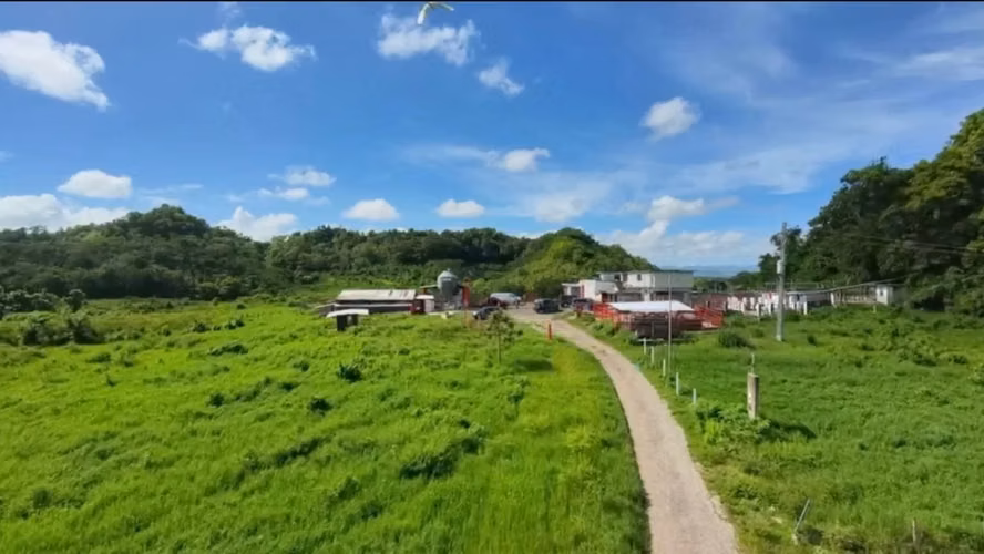 Bo. Almirante Sur, Finca en Vega Baja - Imagen 10