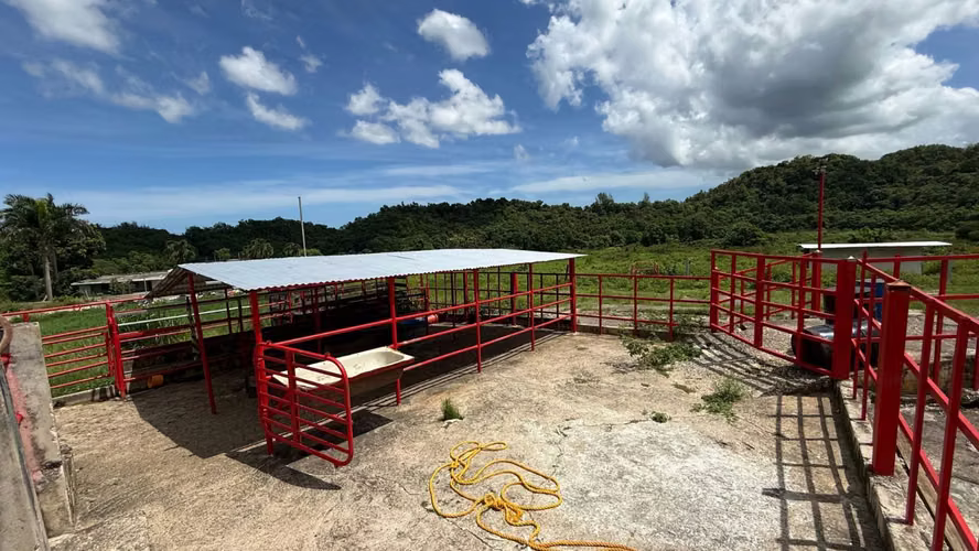 Bo. Almirante Sur, Finca en Vega Baja - Imagen 17