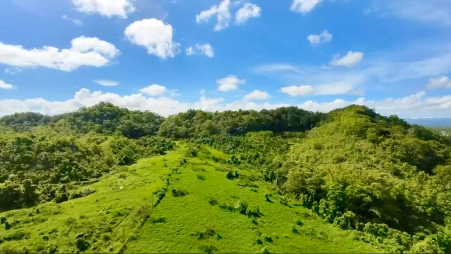 Bo. Almirante Sur, Finca en Vega Baja - Imagen 20