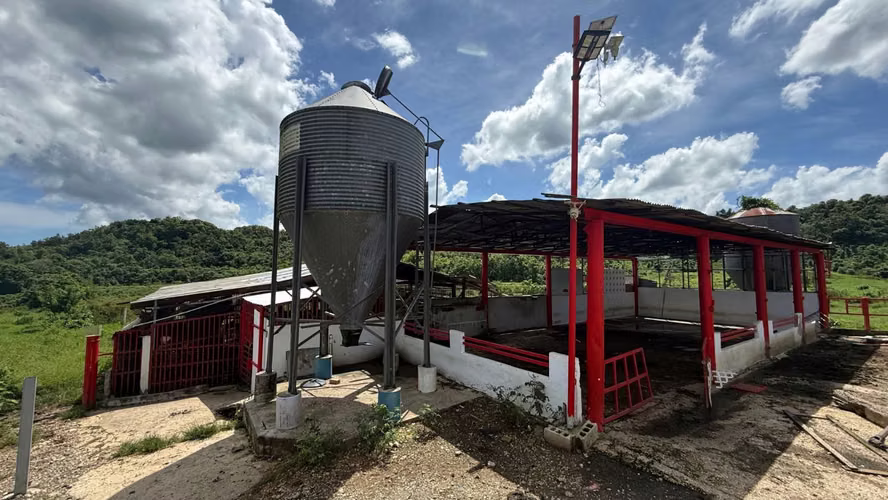 Bo. Almirante Sur, Finca en Vega Baja - Imagen 16