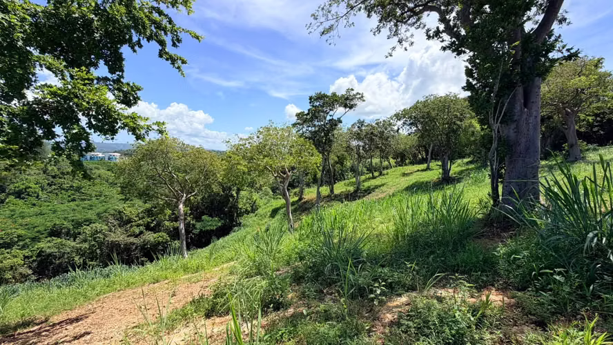 Aguada - Bo. Guaniquilla - Imagen 4