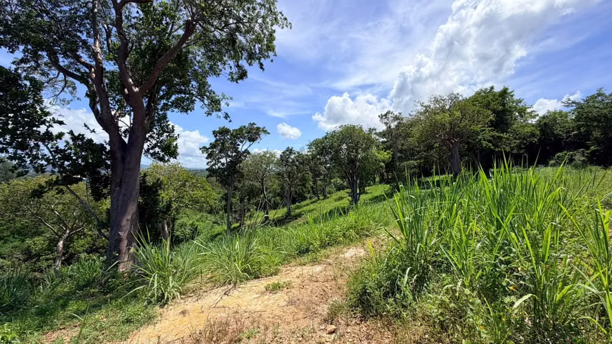 Aguada - Bo. Guaniquilla - Imagen 2