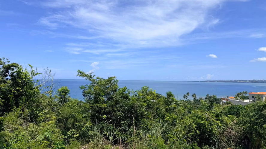 Aguada - Bo. Guaniquilla - Imagen 3
