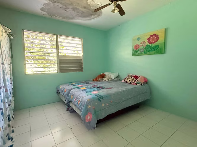 Bo. Dominguito, Casa en Arecibo