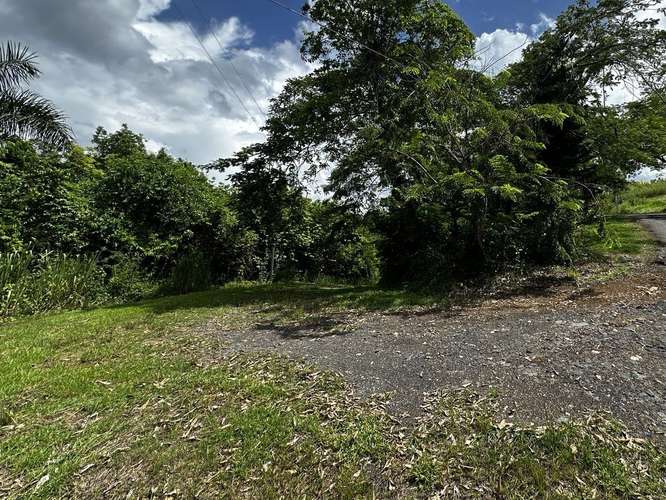 Bo. Rio Lajas, Terreno en Toa Alta - Imagen 6