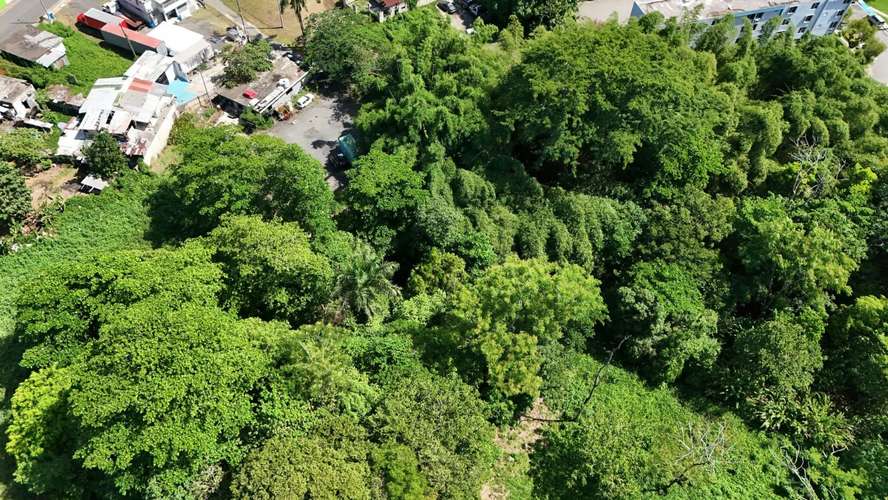Bo. Las Cuevas, Terreno en Trujillo Alto - Imagen 6