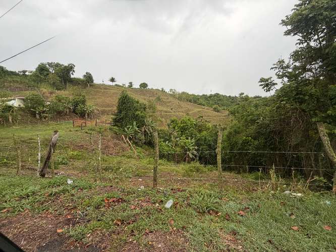 Bo. Sud, Terreno en Cidra - Imagen 4