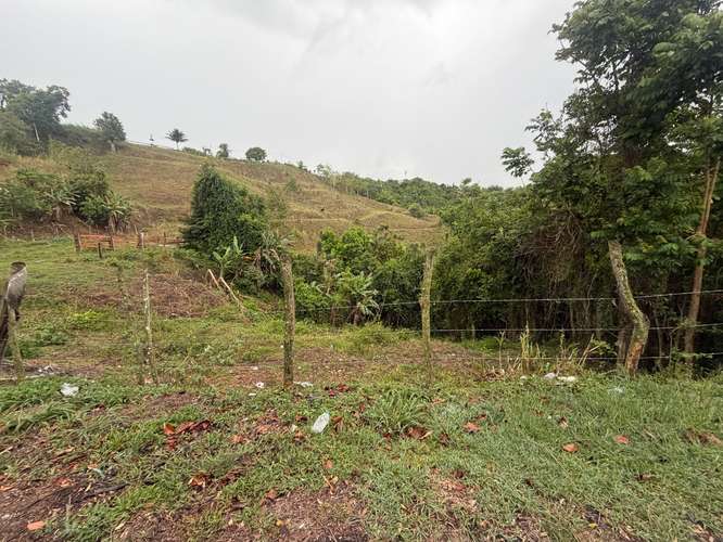 Bo. Sud, Terreno en Cidra - Imagen 2
