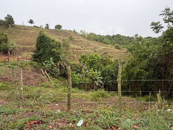 Bo. Sud, Terreno en Cidra - Imagen 5