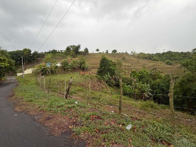 Bo. Sud, Terreno en Cidra - Imagen 3