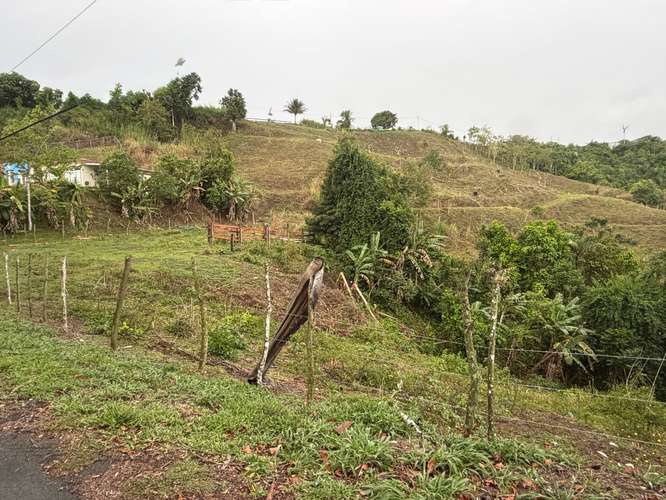 Bo. Sud, Terreno en Cidra - Imagen 6