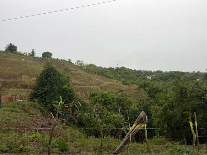 Bo. Sud, Terreno en Cidra - Imagen 8