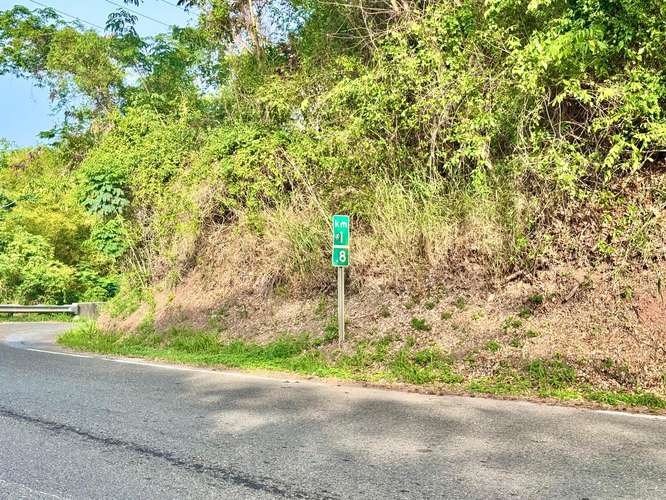 Bo. Guayabal, Finca en Juana Diaz - Imagen 4
