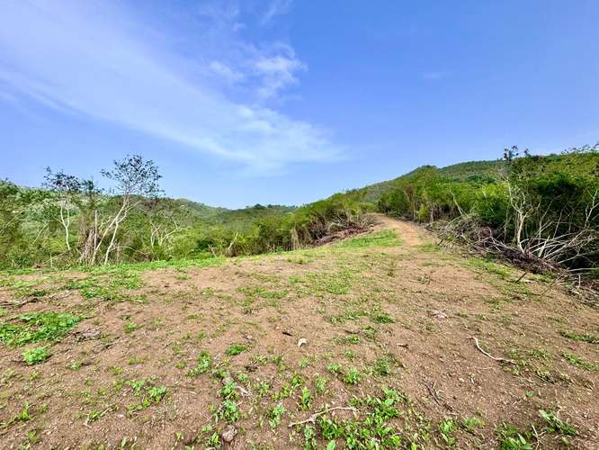 Bo. Guayabal, Finca en Juana Diaz - Imagen 3