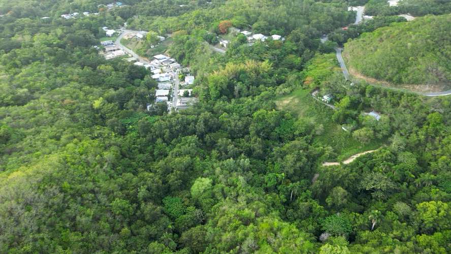 Bo. Guayabal, Finca en Juana Diaz - Imagen 10
