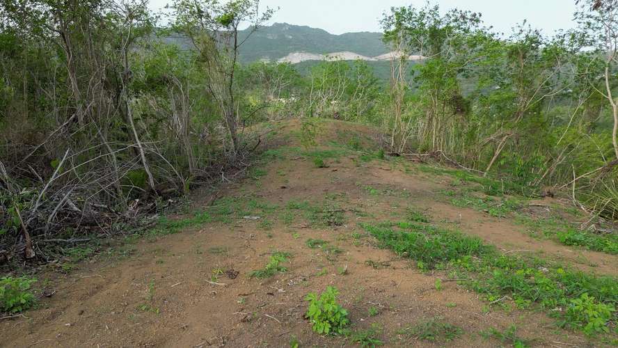Bo. Guayabal, Finca en Juana Diaz - Imagen 14