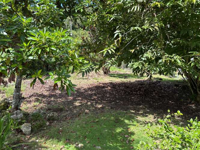 1 Cuerda Terreno Bo. Piletas, Lares