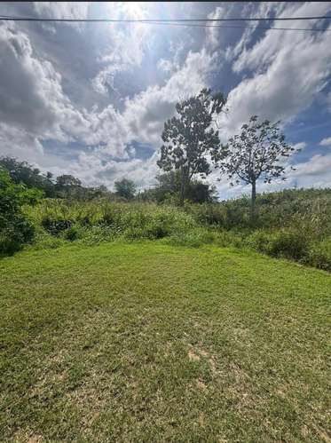  3 TERRENOS EN VENTA – CARRIZALES, HATILLO, PUERTO RICO     Más de 6 cuerdas de terreno en excelente ubicación.  O - Imagen 4