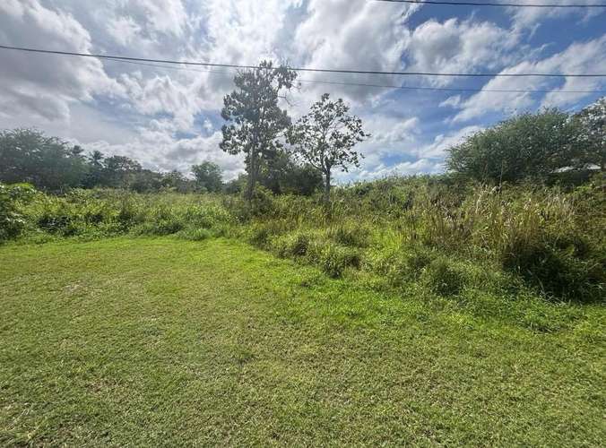  3 TERRENOS EN VENTA – CARRIZALES, HATILLO, PUERTO RICO     Más de 6 cuerdas de terreno en excelente ubicación.  O - Imagen 3