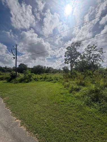  3 TERRENOS EN VENTA – CARRIZALES, HATILLO, PUERTO RICO     Más de 6 cuerdas de terreno en excelente ubicación.  O - Imagen 7